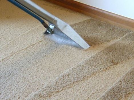 Serviço de Limpeza de Carpetes à Seco na Zona Norte