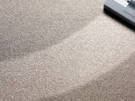 Empresa de Higienização de Carpetes à Seco em Pinheiros